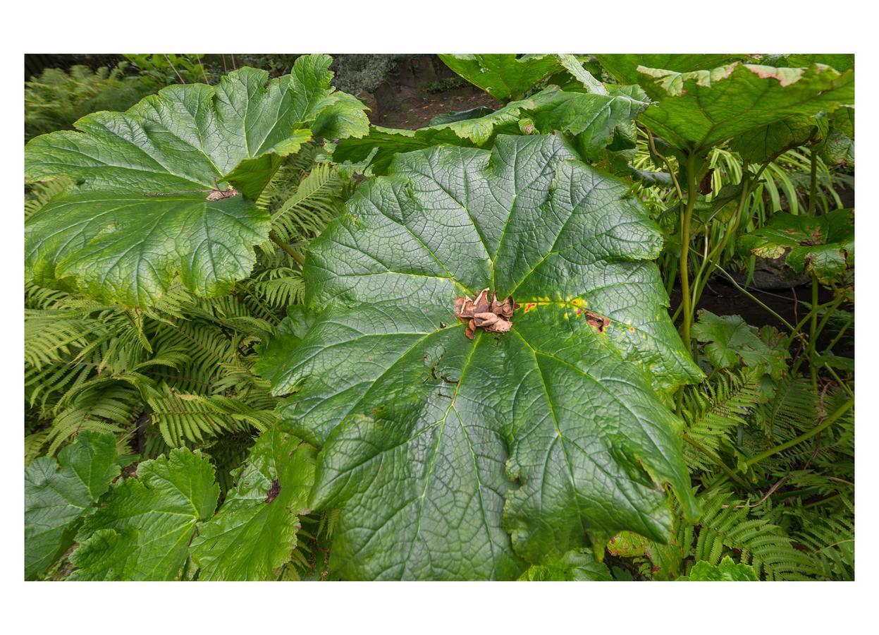 برغن Gradierwerk Suelze المظهر الخارجي الصورة